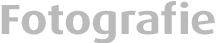 typografie
